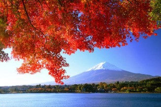 TOUR TẾT KỶ HỢI 2019 - NHẬT BẢN: OSAKA-NAGOYA-TOKYO
